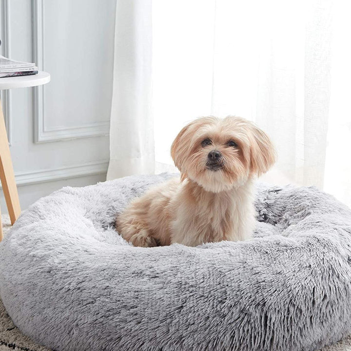 Pet Calming Bed