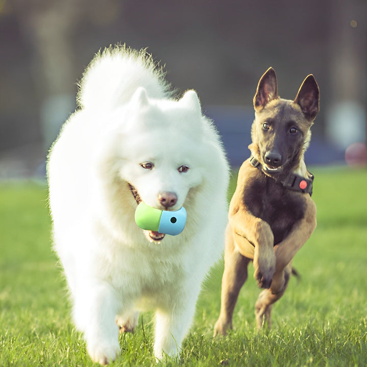 Pet Food Toy