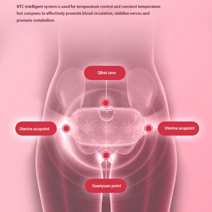 New Year New You - Abdominal Massage Belt